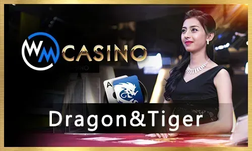 jl33 Live Casino